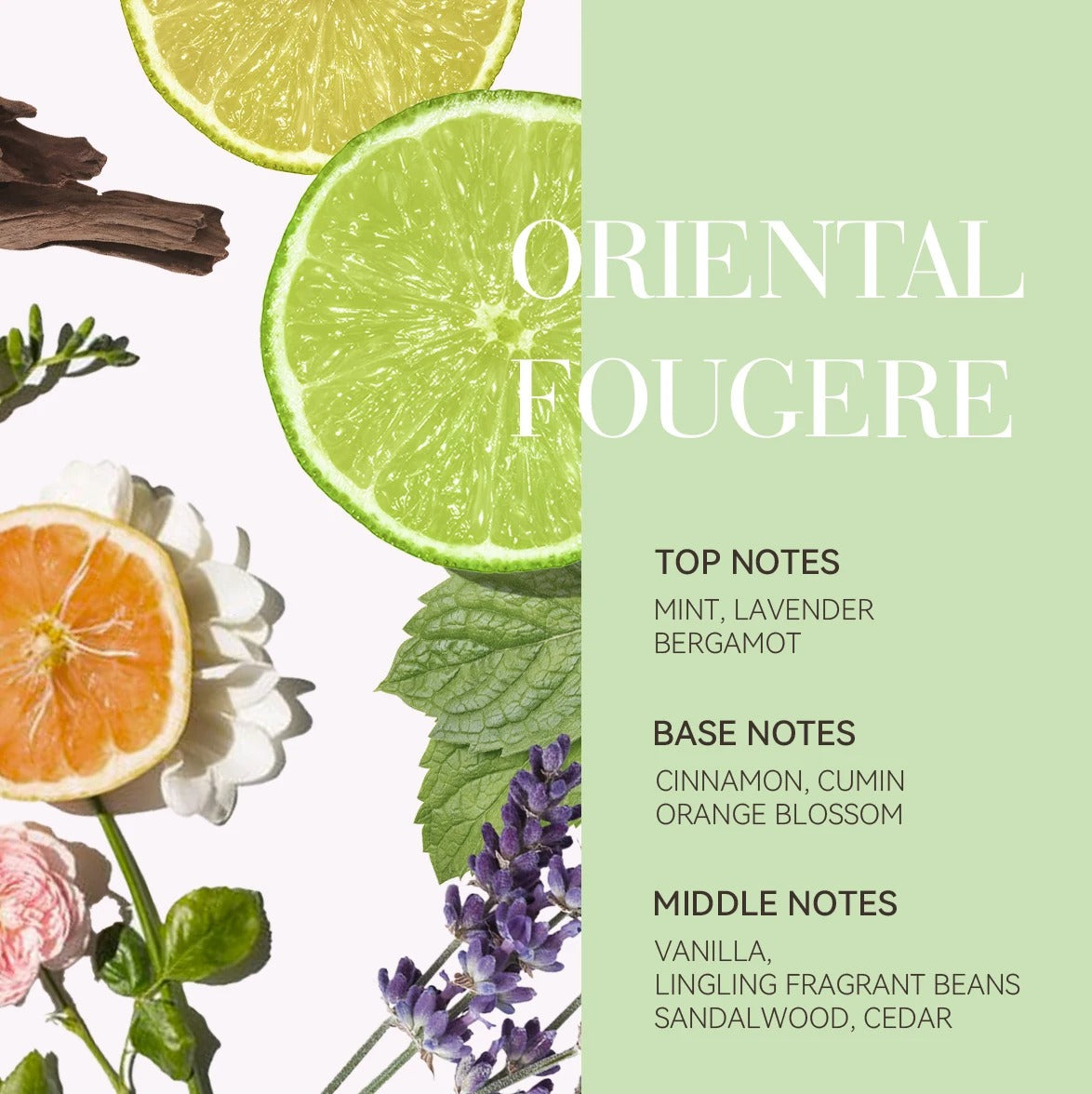 RootRevive Rosemary Cleanse
